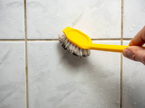 Best Commercial Mold Remediation in New London, IA