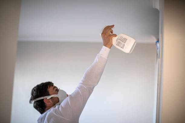 Best White Mold Remediation in New London, IA