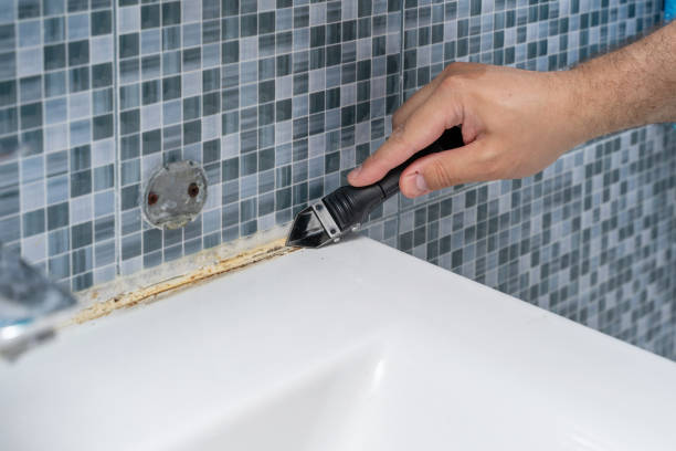  New London, IA Mold Removal Pros