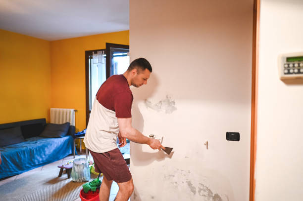 Best Kitchen Mold Remediation in New London, IA